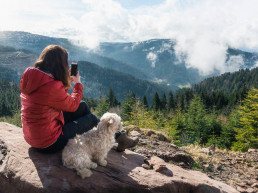 Hond mee naar Duitsland
