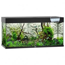 Juwel Aquarium Rio 180 Led 101x41x50 cm - Aquaria