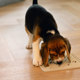 Likmat voor honden en katten