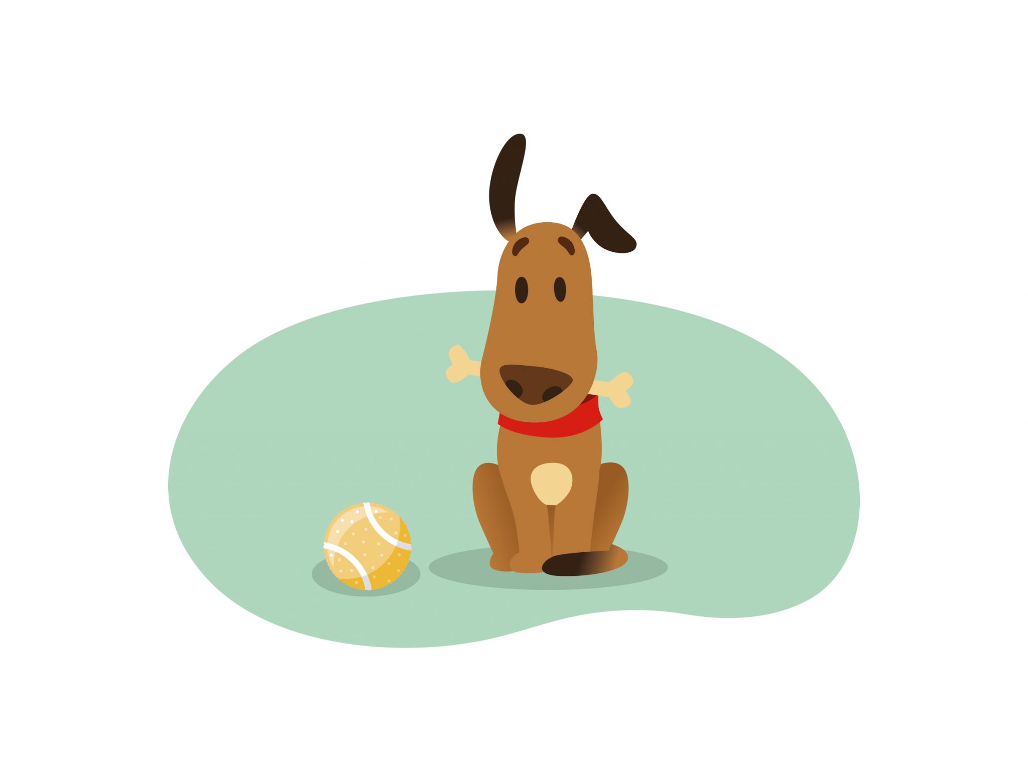 Schofthoogte hond berekenen en opmeten met stappenplan Pets Place Schofthoogte hond berekenen en opmeten met stappenplan Pets Place
