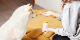 Supplementen voor honden