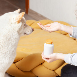 Supplementen voor honden