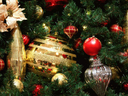 Kerstboom versieren