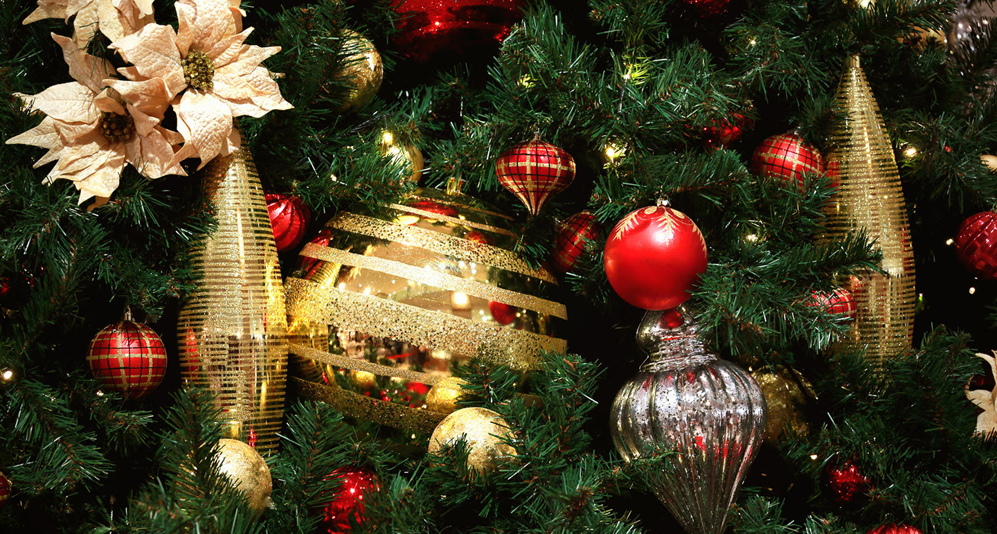 Je kerstboom versieren in 5 stappen! Tips en tricks Pets Place