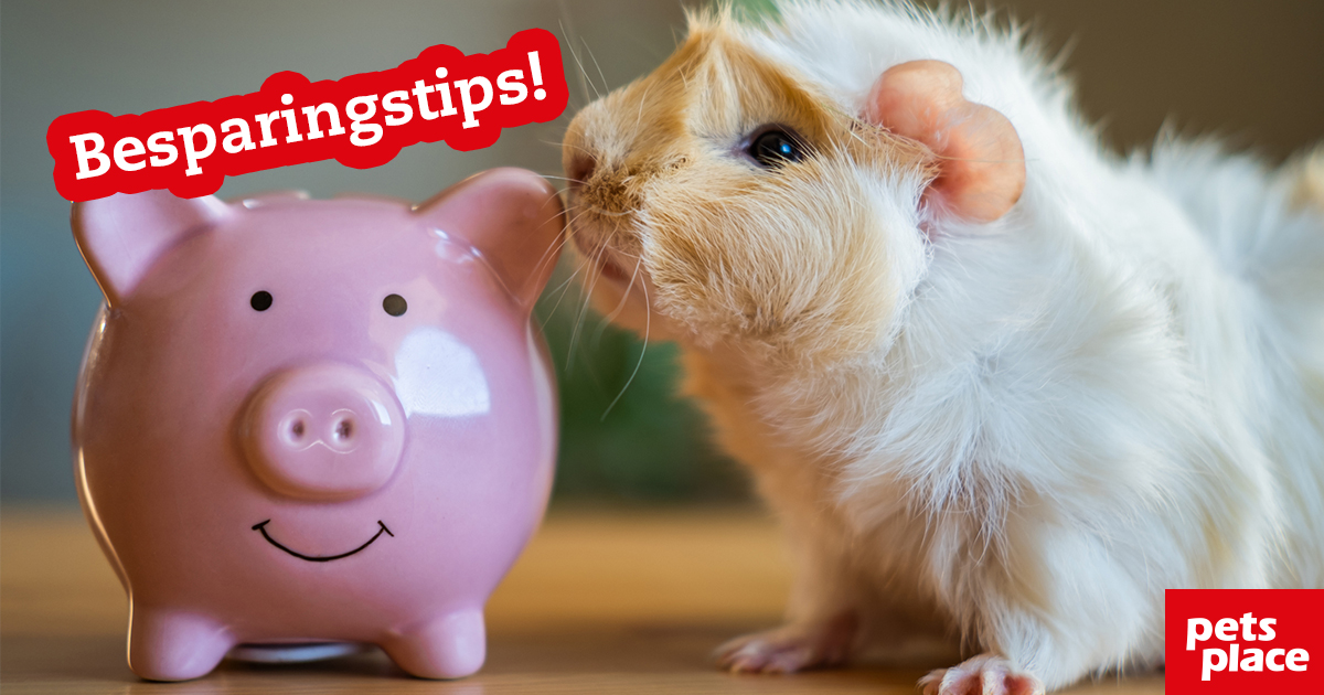 Hoeveel kost een huisdier? Kosten en besparingstips op 'n rij! Pets Place
