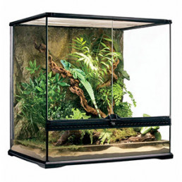 terrarium vierkant