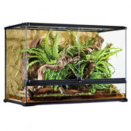 terrarium rechthoek