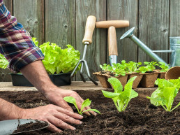 moestuin verpotten in 7 stappen
