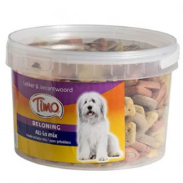 timo koekjes