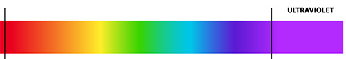 Spectrum kleuren mens-vogel