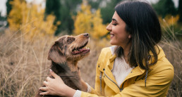 Gezondheid hond