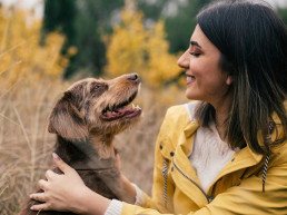 Gezondheid hond