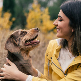 Gezondheid hond
