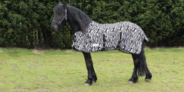 Vliegendeken paard