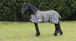 Vliegendeken paard