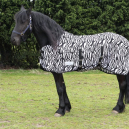 Vliegendeken paard