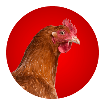 Erfdier
