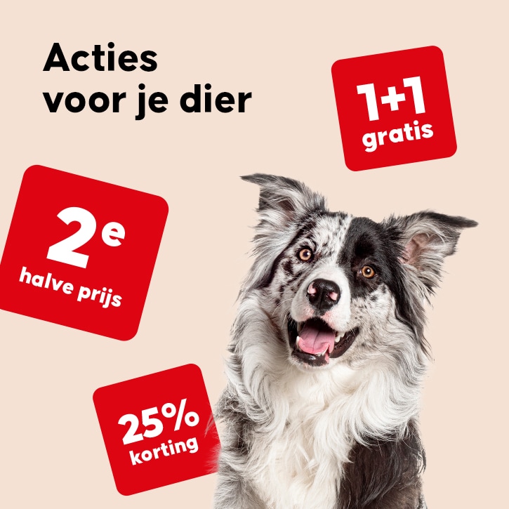 Ga naar acties voor je dier